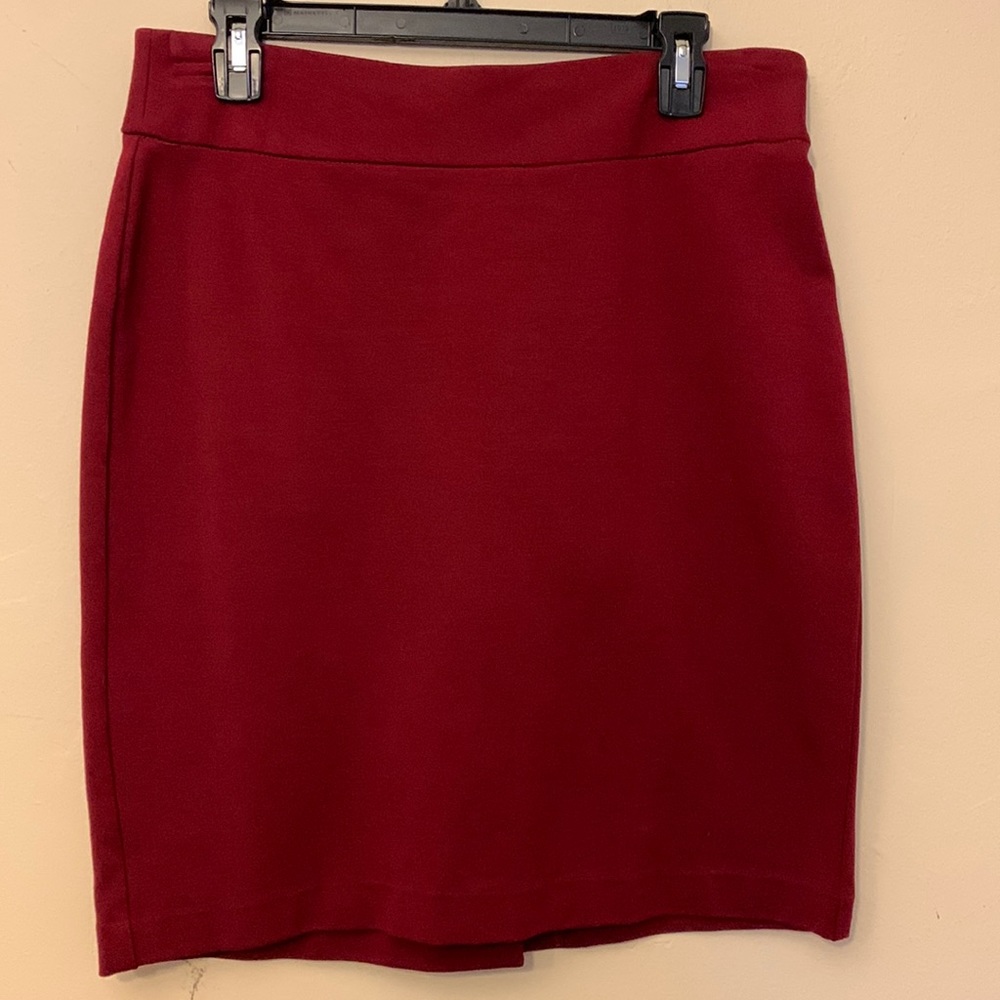 Investments Petite Skirt
